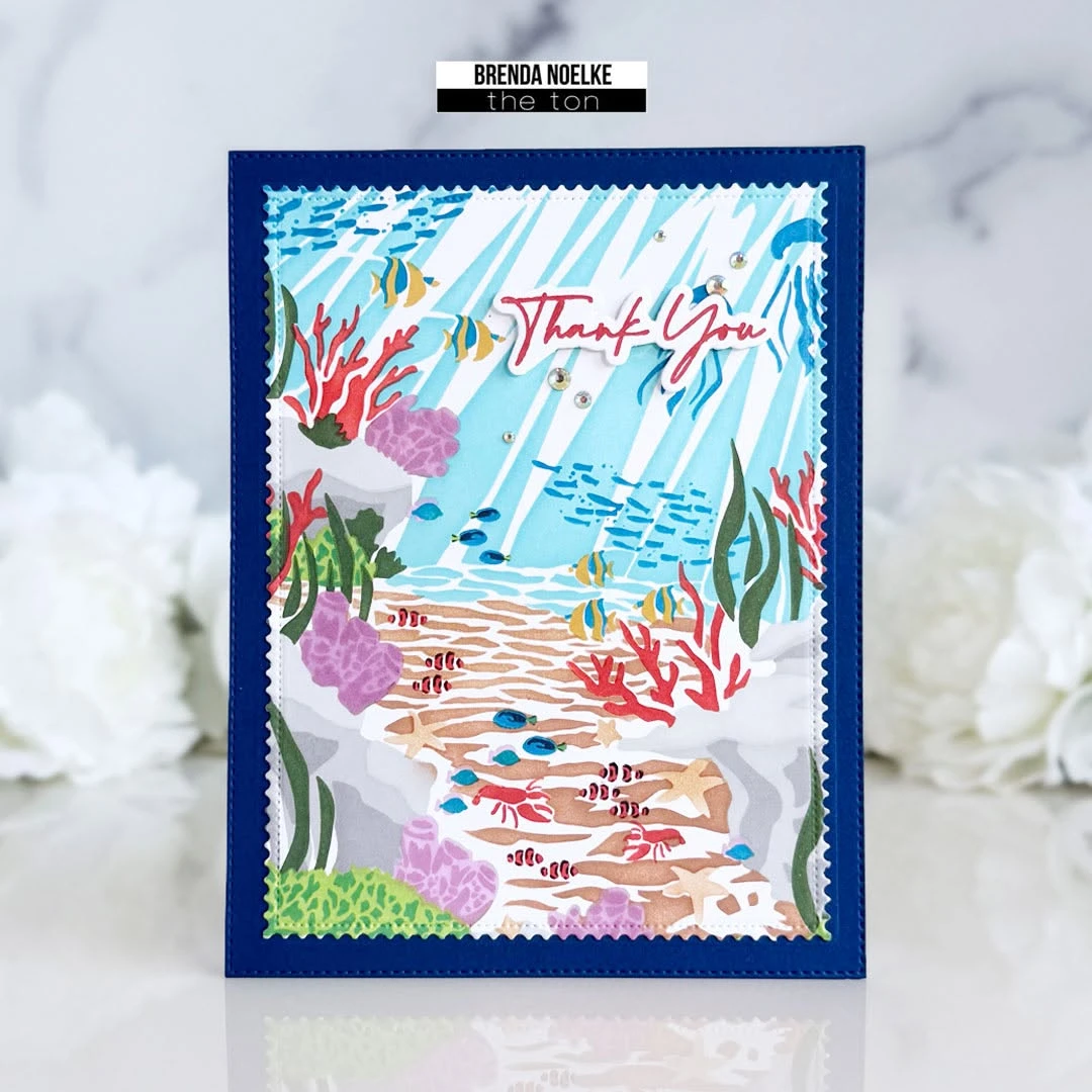 Summer Sea Turtle Clematis Cat - Summer Clothing Release ulasan dan harga
